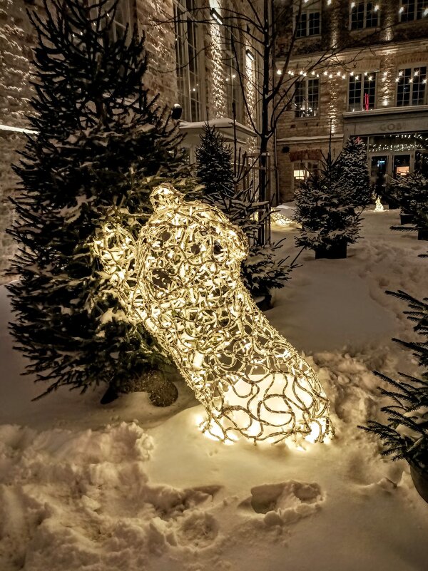 Вечерняя прогулка - Veera V Вечерняя прогулка - Veera V