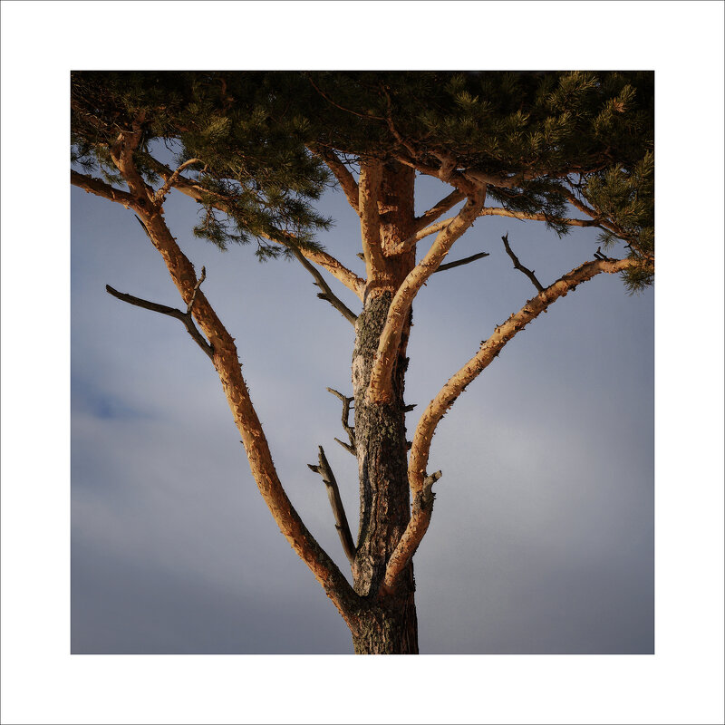 * - Александр Иванов