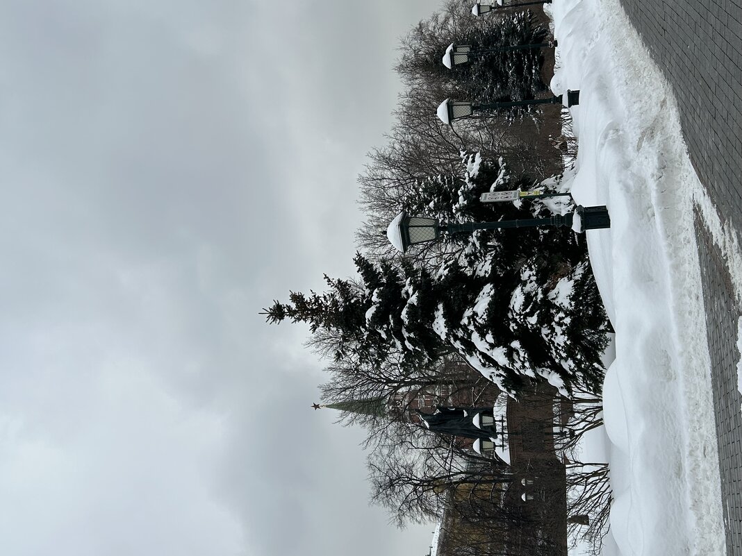 Может центр Москвы,а может деревня - Натали 