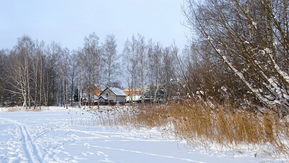 Смоленщина в январе. - Милешкин Владимир Алексеевич 