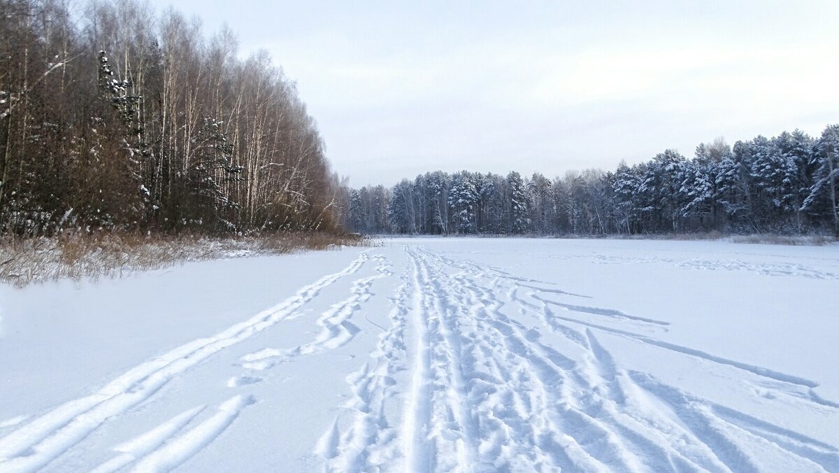 Зима в январе - Милешкин Владимир Алексеевич 