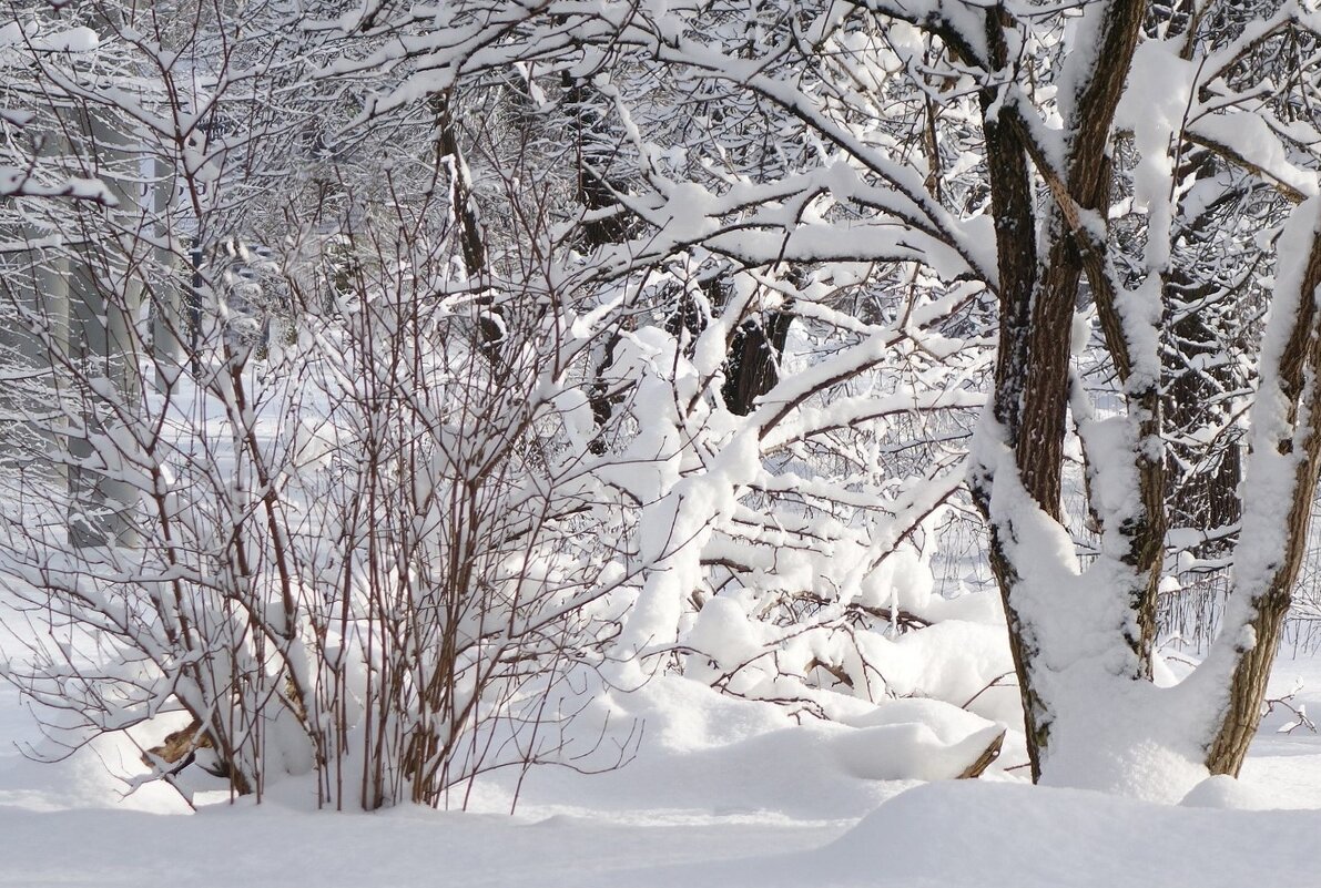 Снег, снежок... - Рита Симонова