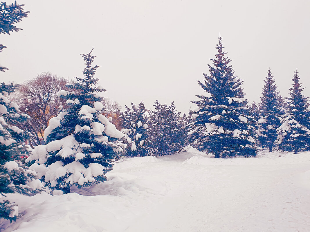 Зима в городе - Сергей Кочнев