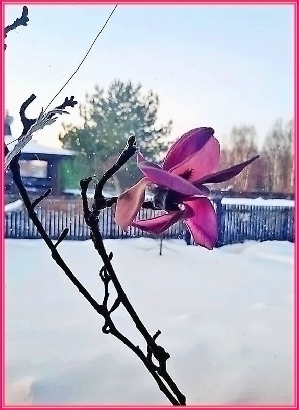 Приятный сюрприз - Ольга Довженко