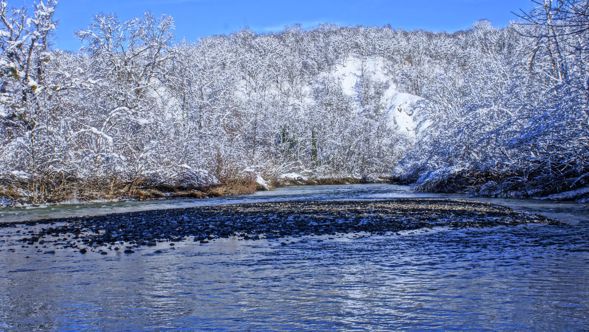 Новогоднее утро---10 - Владимир Холодный