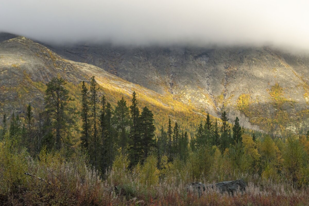 Луч солнца золотого........... - Юрий Цыплятников