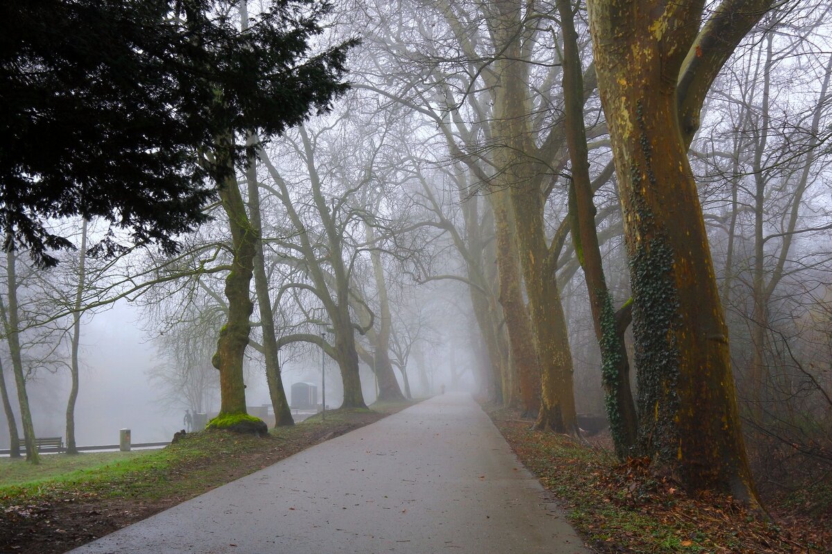 В туман - Юрий. Шмаков