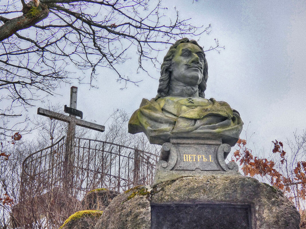 Русский царь в Европе. - Владимир Ефимов 