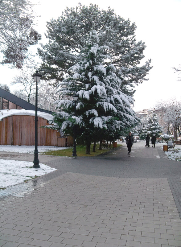Парк Треннёва - Валентин Семчишин Парк Треннёва - Валентин Семчишин