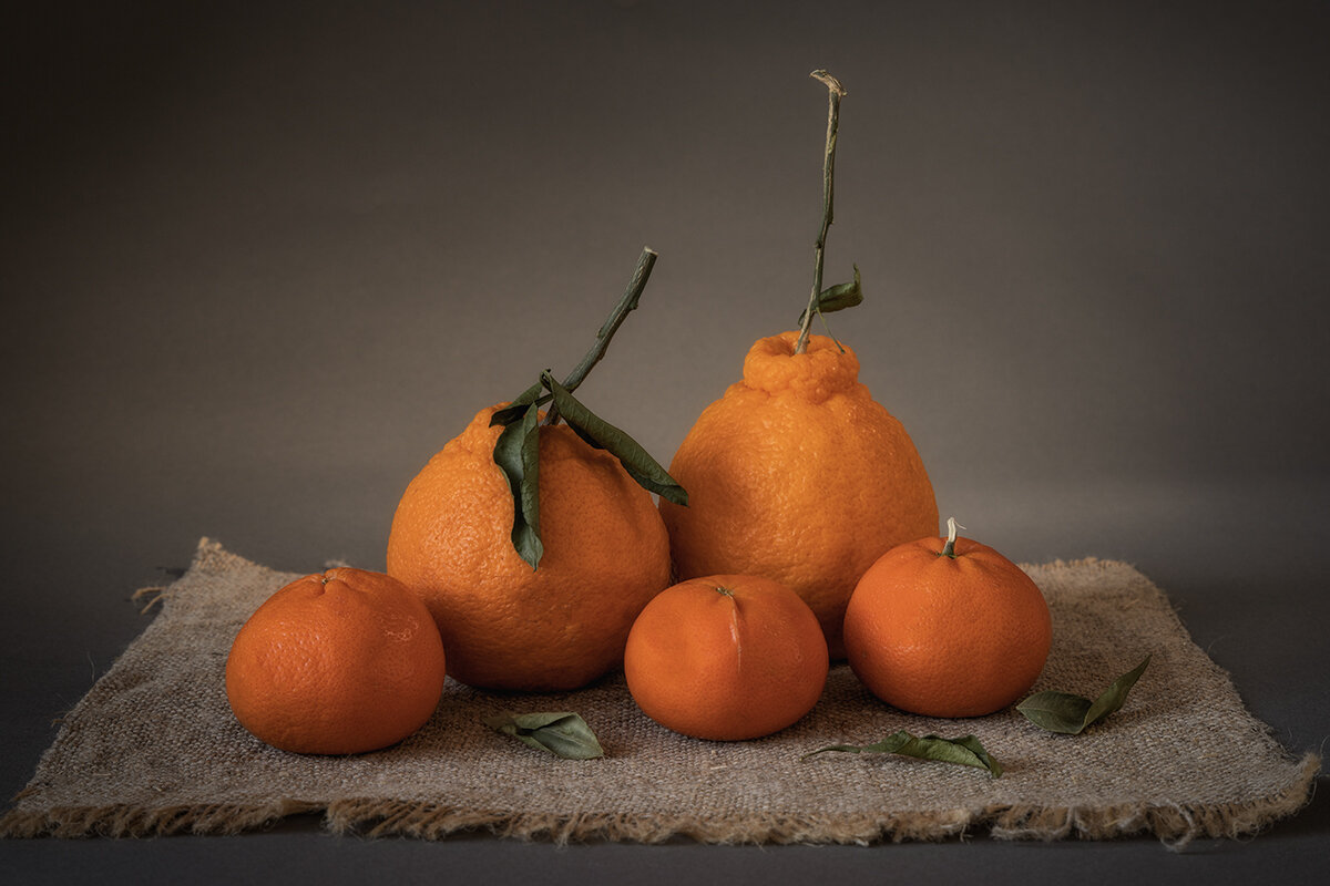 Семейный портрет. Шуточный натюрморт. - Лилия * Семейный портрет. Шуточный натюрморт. - Лилия *