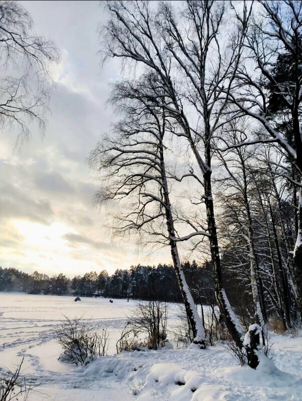 Подмосковье - Тамара Вебер