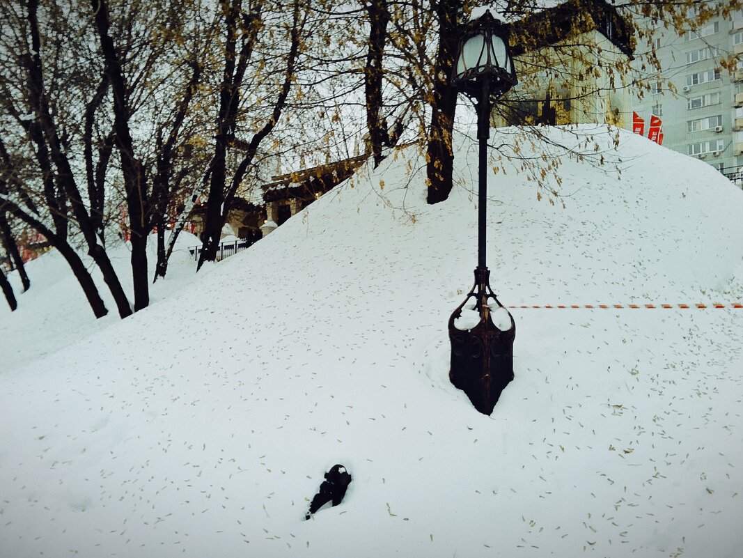 Сугробы 2026 года. - Наталья Вязигина