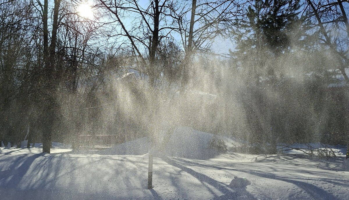 серебристость - ИРЭН@ . серебристость - ИРЭН@ .