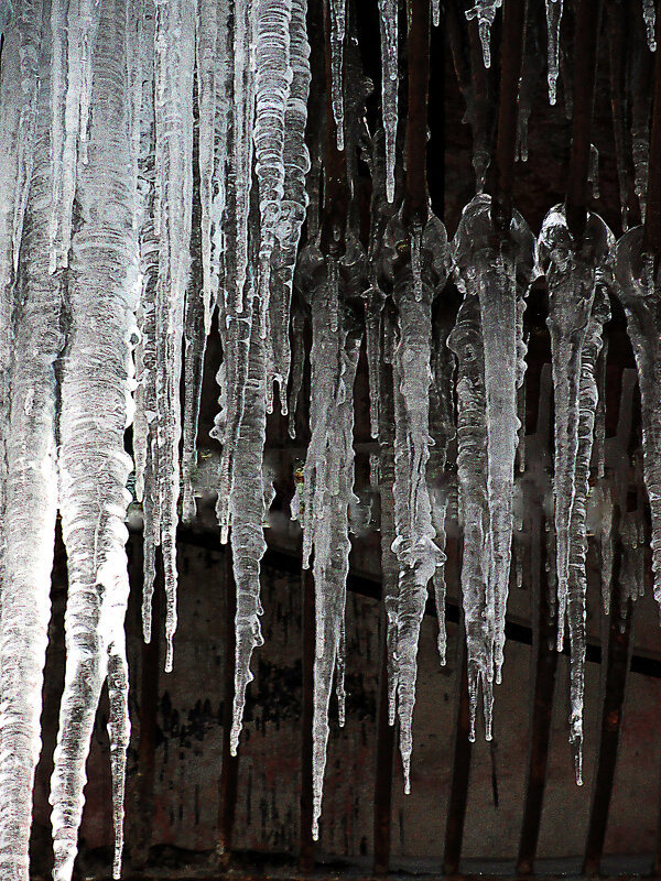 когда теплеет...... - Ольга 