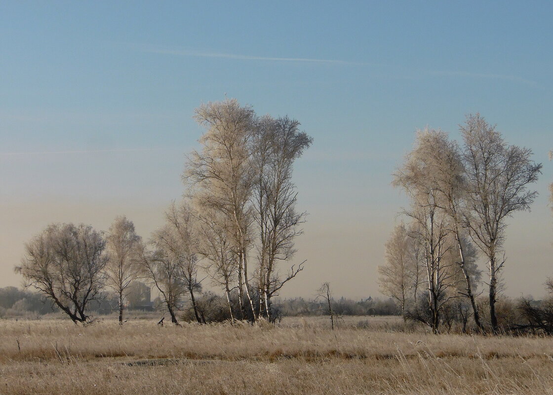 Осень поздняя,седая... - nadyasilyuk Вознюк