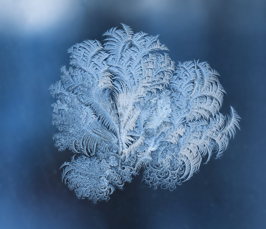 Проводы зимы... - Виктор Фельдшеров Проводы зимы... - Виктор Фельдшеров