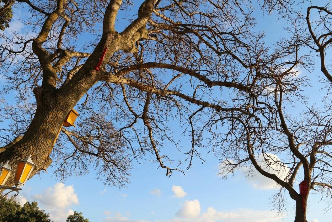 А, знаешь всё ещё будет.. - Екатерина Леш