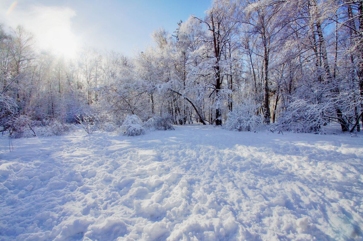 Солнечный день - Наталья Лакомова