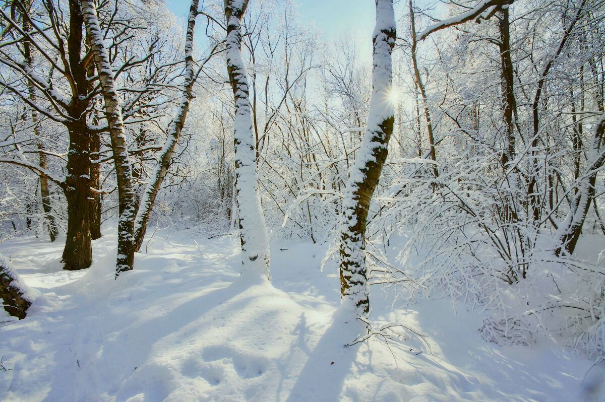 Зимние зарисовки - Наталья Лакомова