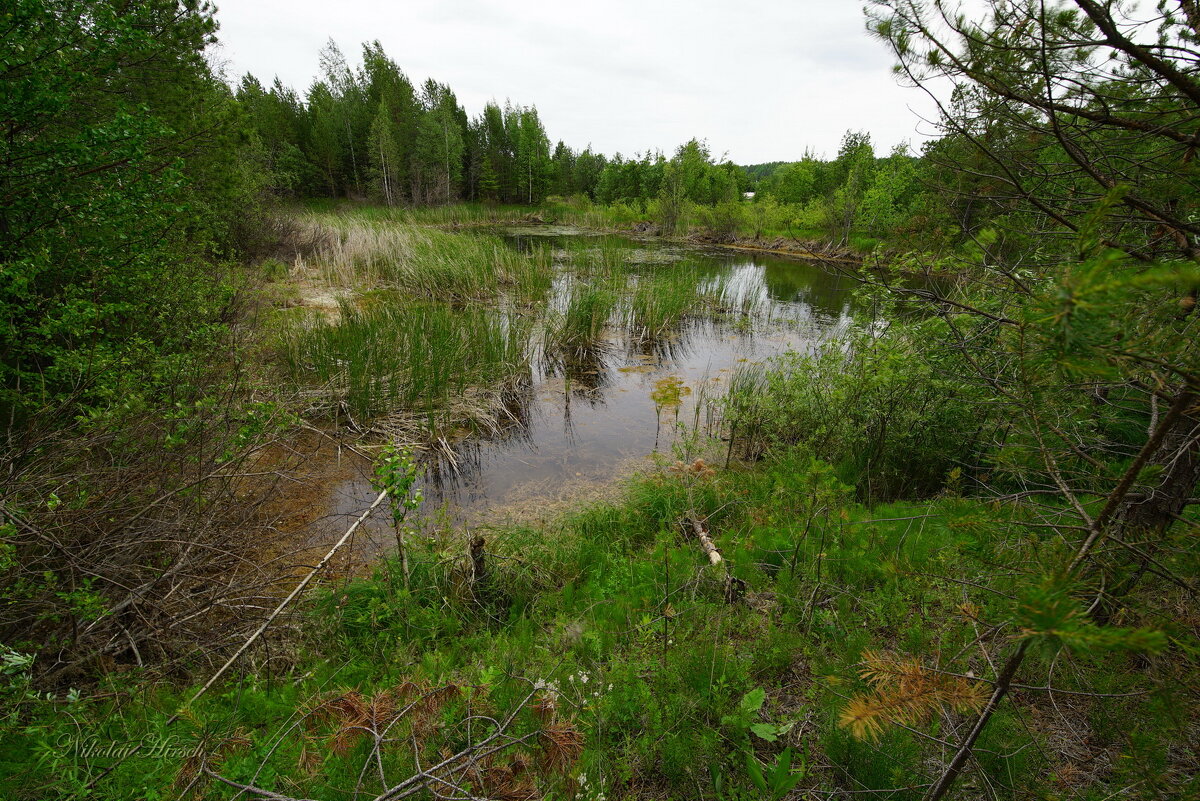 Уральские мотивы... - Николай Гирш Уральские мотивы... - Николай Гирш