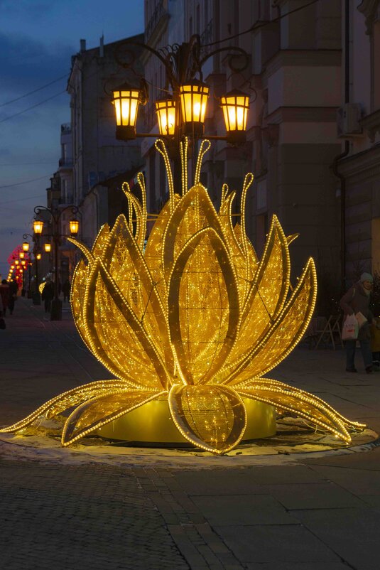 почти лотос - Ирина Милонова почти лотос - Ирина Милонова