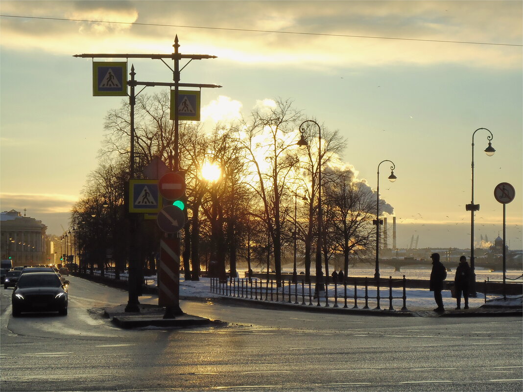 Адмиралтейская золотая - sv.kaschuk 