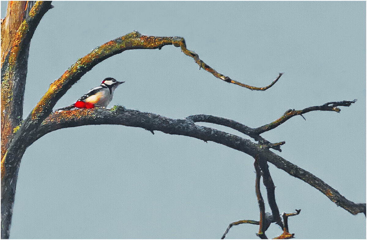 Смотрящий - Валентин Котляров Смотрящий - Валентин Котляров