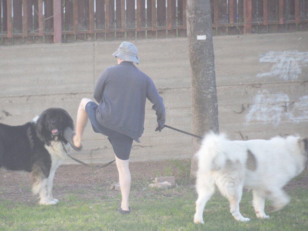 13  ОПЕН (913) - OPEN WAYS ALL