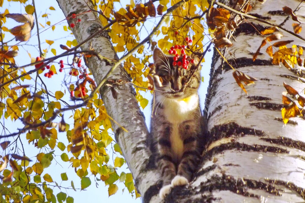 Осенний день - Сергей Кочнев