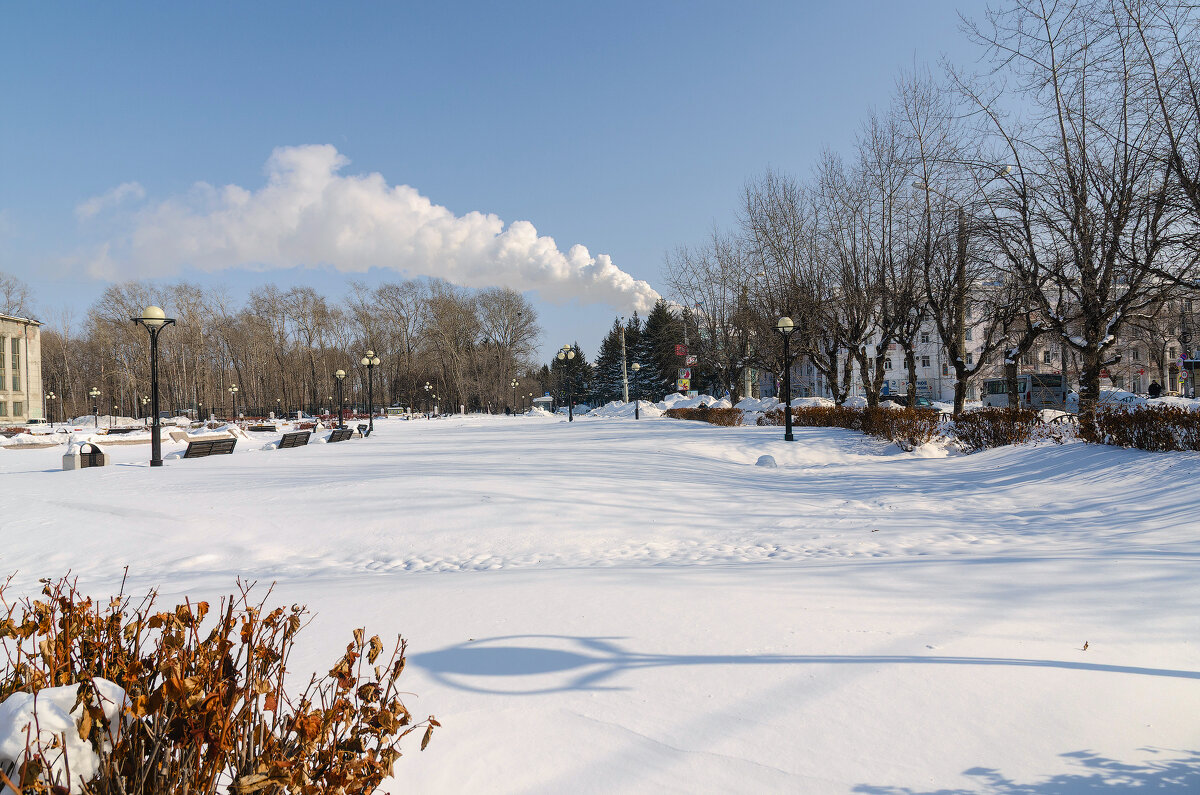 Чудесный день - Виктор Иванович Чернюк