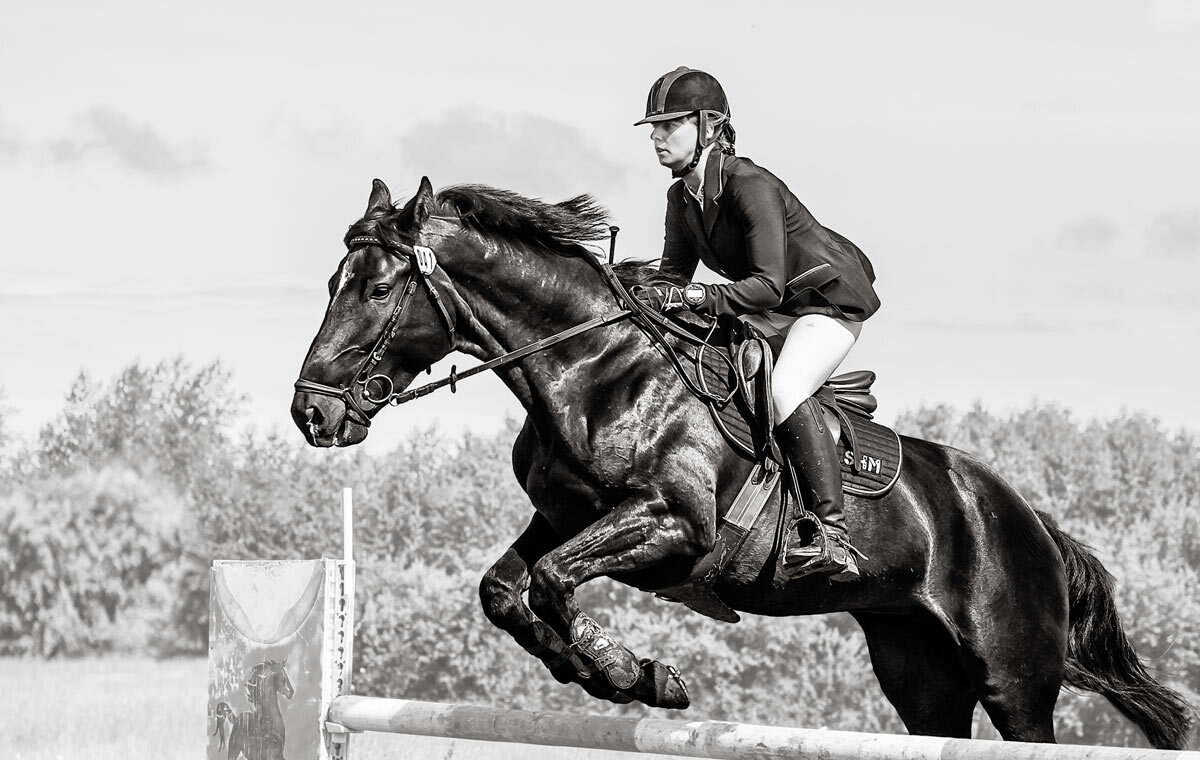 Конкур - SanSan 