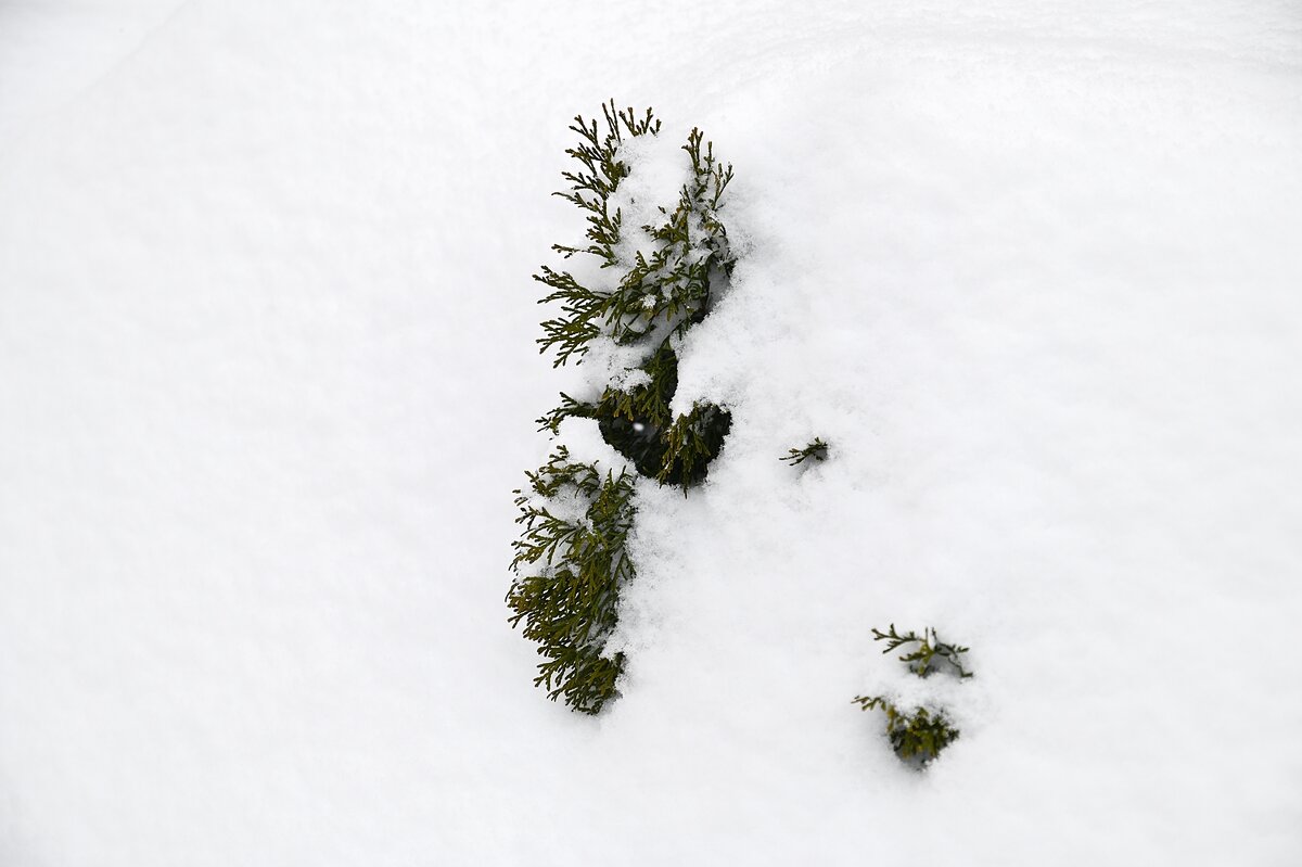 Скоро растает - Валерий Иванович Скоро растает - Валерий Иванович