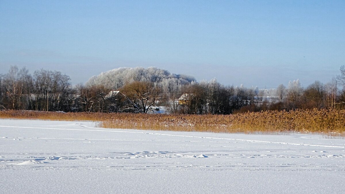 Моя Смоленщина. - Милешкин Владимир Алексеевич 