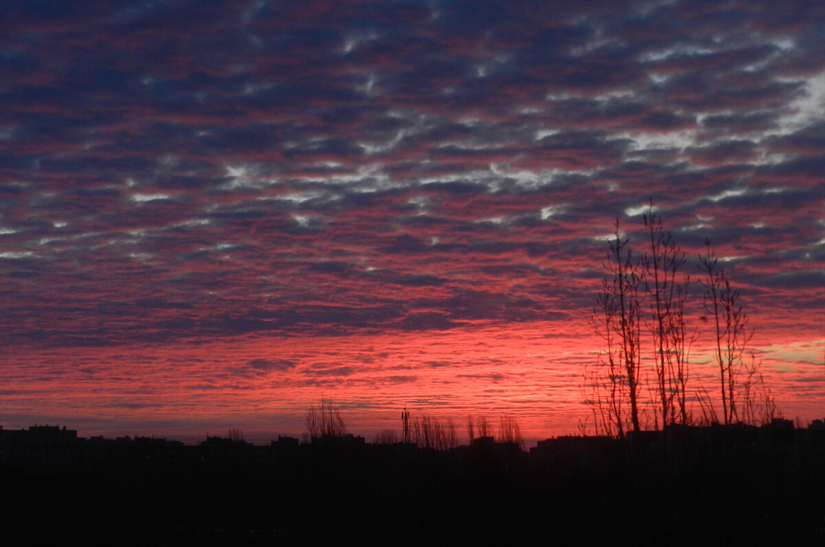рассвет - Лера 