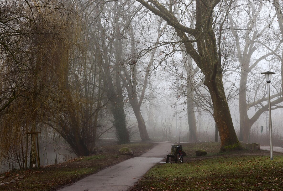 Туманный февраль - Юрий. Шмаков