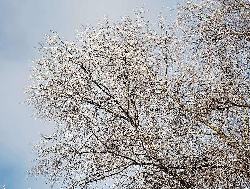 Белый-белый мир - Мария К.