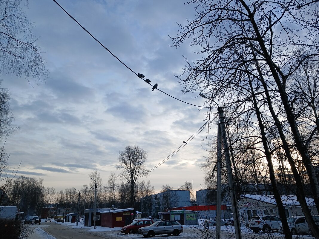 Завтра весна... - BoxerMak Mak