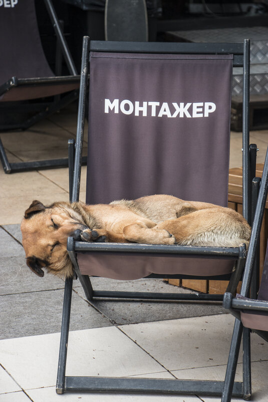 Монтажёр устал...) - Витюшка07 Монтажёр устал...) - Витюшка07