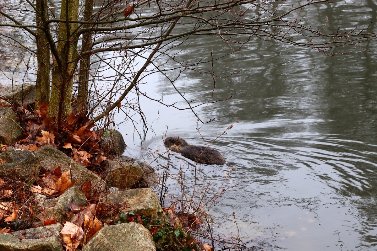 В холодных водах февраля - Юрий. Шмаков