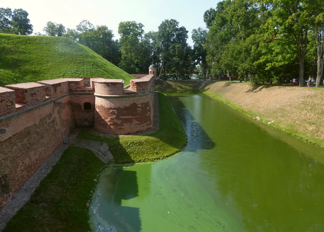 Несвижский замок - Елена Суханова