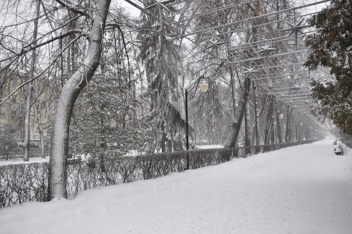 Прощай, снежный февраль... - Татьяна Машошина Прощай, снежный февраль... - Татьяна Машошина