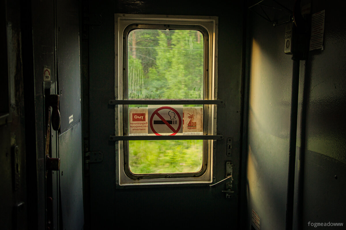 Лето за окном поезда - fogmeadowww m