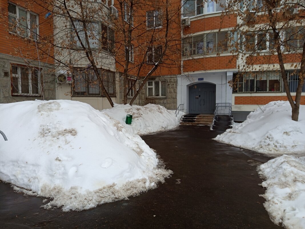 Последний день зимы в Москве (зарисовки неюного натуралиста) - Андрей Лукьянов