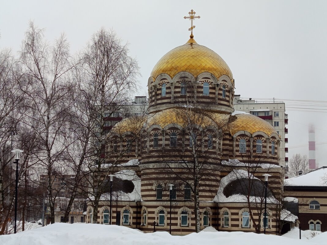 Последний день зимы в Москве (зарисовки неюного натуралиста) - Андрей Лукьянов