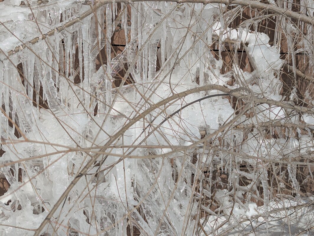 Природные узоры мороза... - Андрей Хлопонин