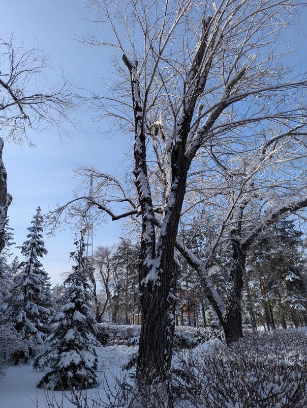 Городской парк... - Андрей Хлопонин