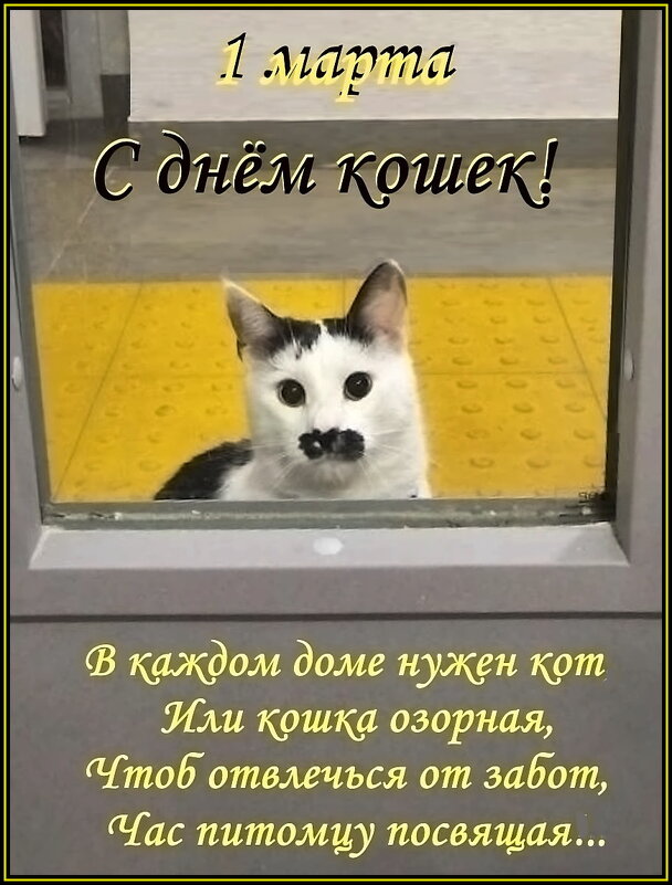 Ёрик на посту - Ольга Довженко