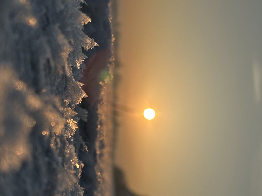 Закат на Енисее - Марина Панькина