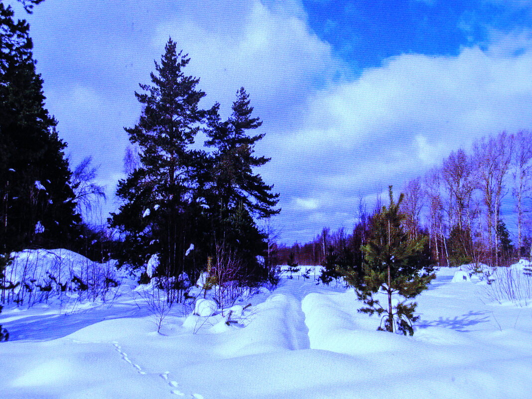 Февраль - Людмила Смородинская