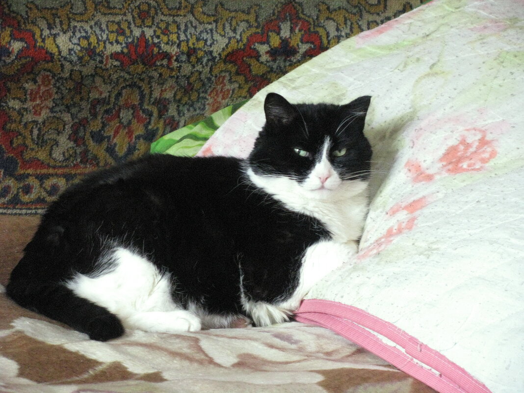 Я проснулся - Людмила Смородинская Я проснулся - Людмила Смородинская